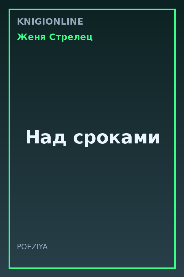Обложка книги Над сроками