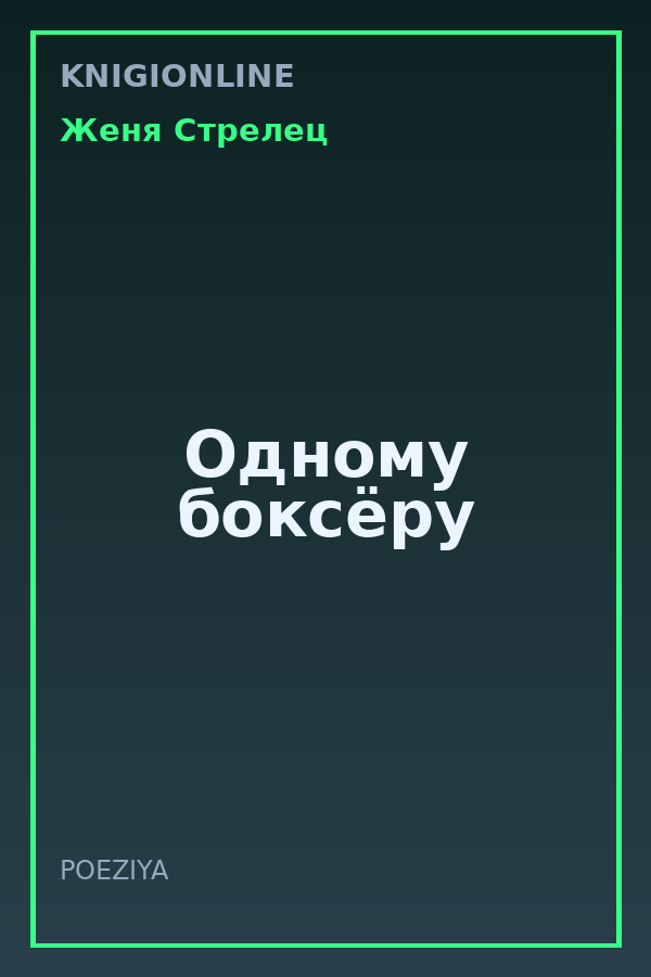 Обложка книги Одному боксёру