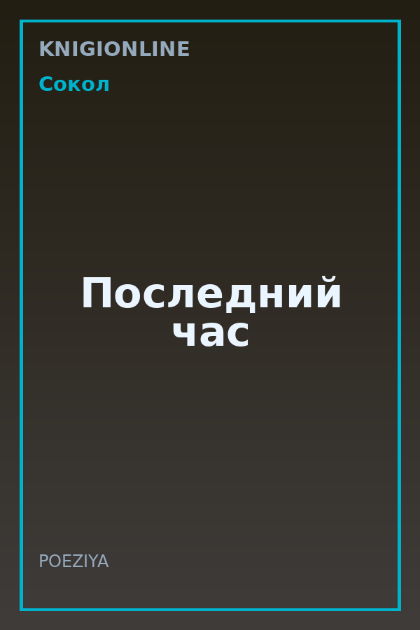 Обложка книги Последний час