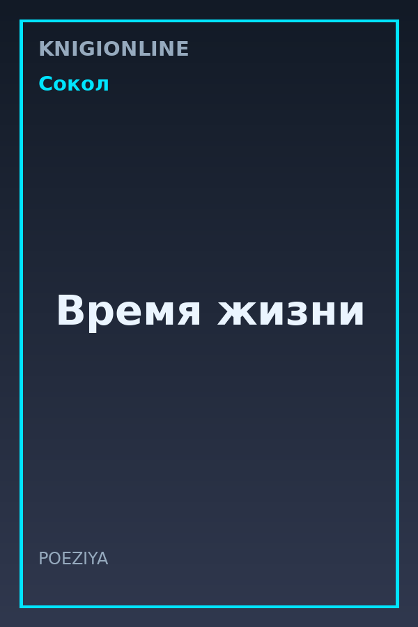 Обложка книги Время жизни