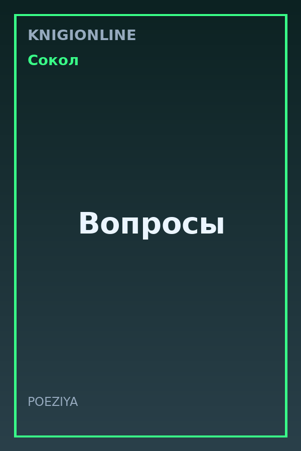 Обложка книги Вопросы