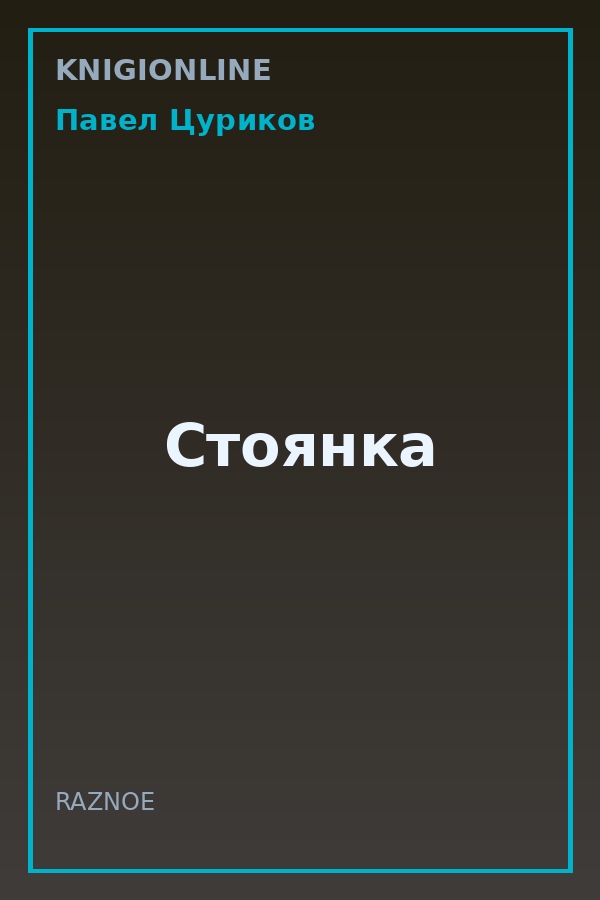 Обложка книги Стоянка