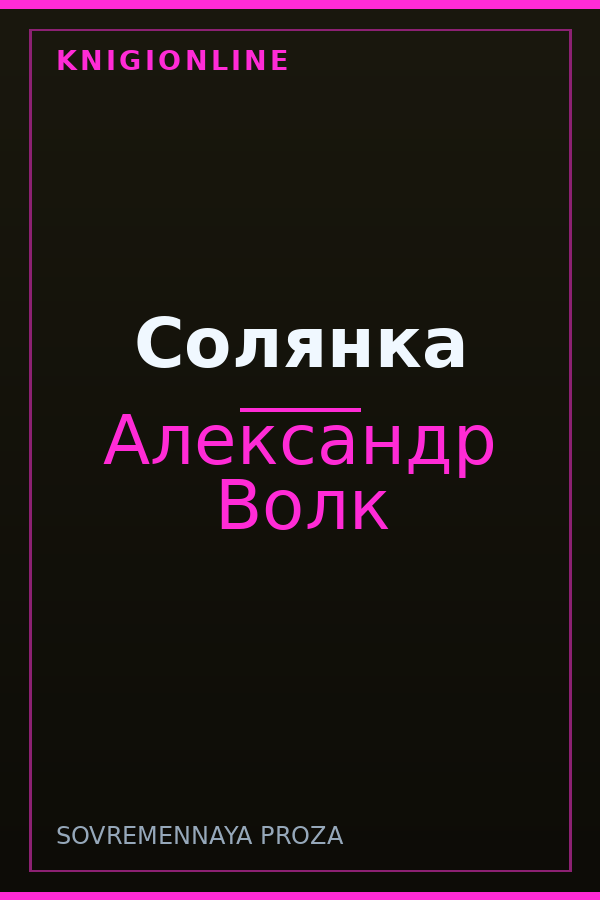 Обложка книги Солянка