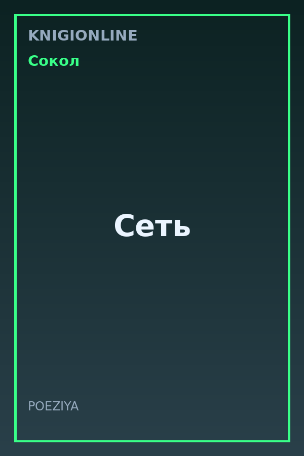 Обложка книги Сеть