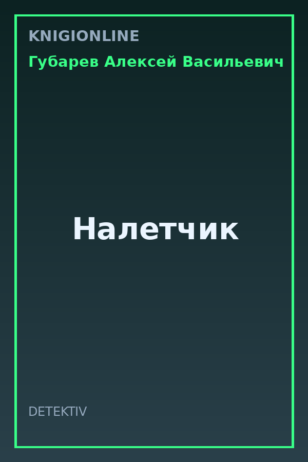 Обложка книги Налетчик