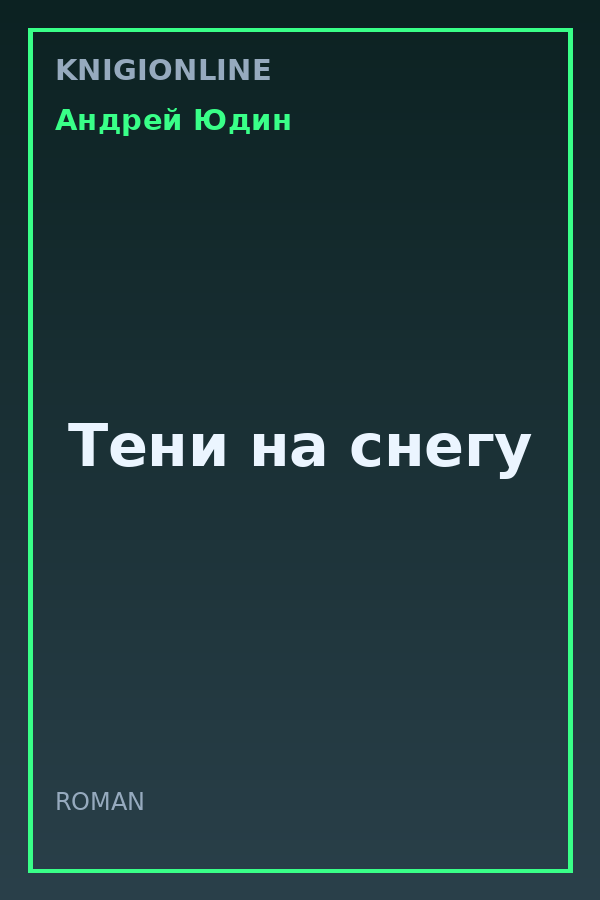 Обложка книги Тени на снегу