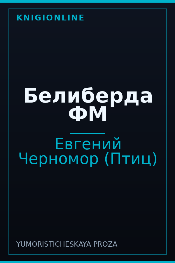 Обложка книги Белиберда ФМ