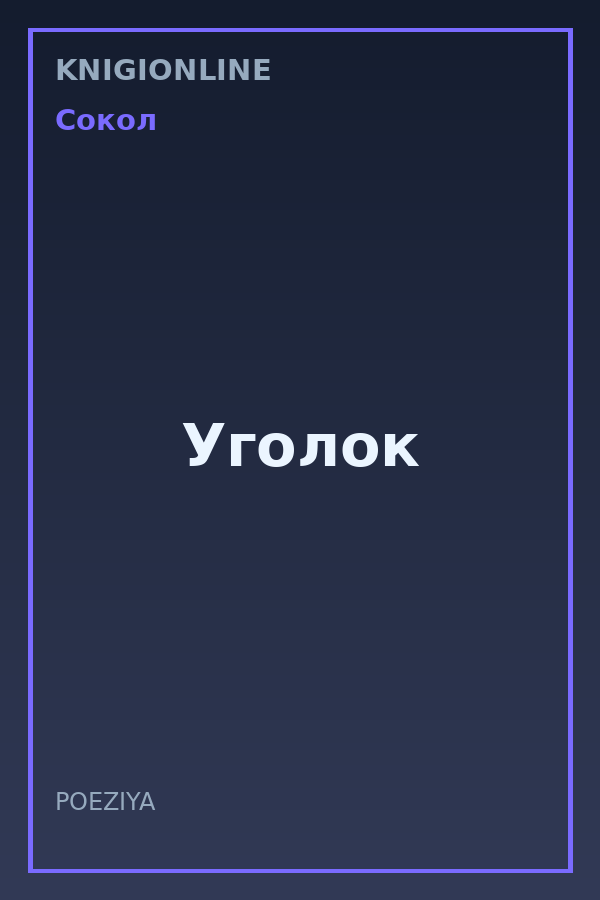Обложка книги Уголок