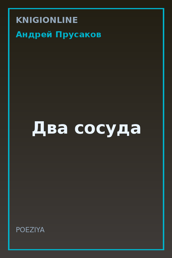 Обложка книги Два сосуда