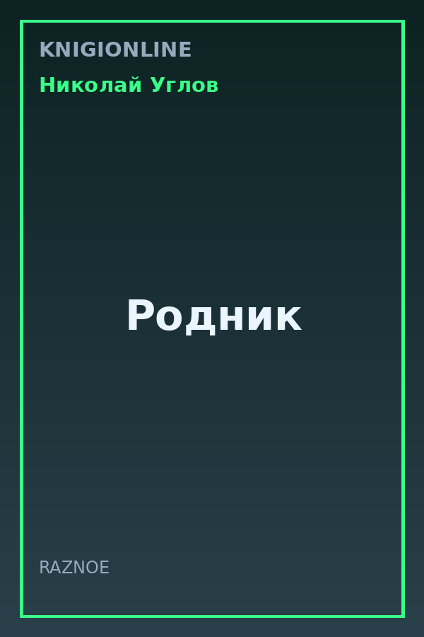 Обложка книги Родник