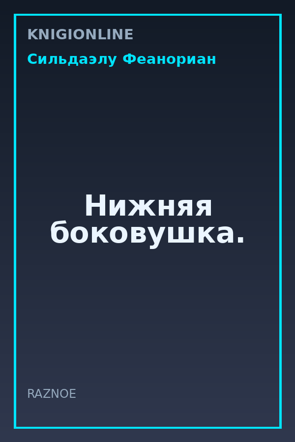 Обложка книги Нижняя боковушка.