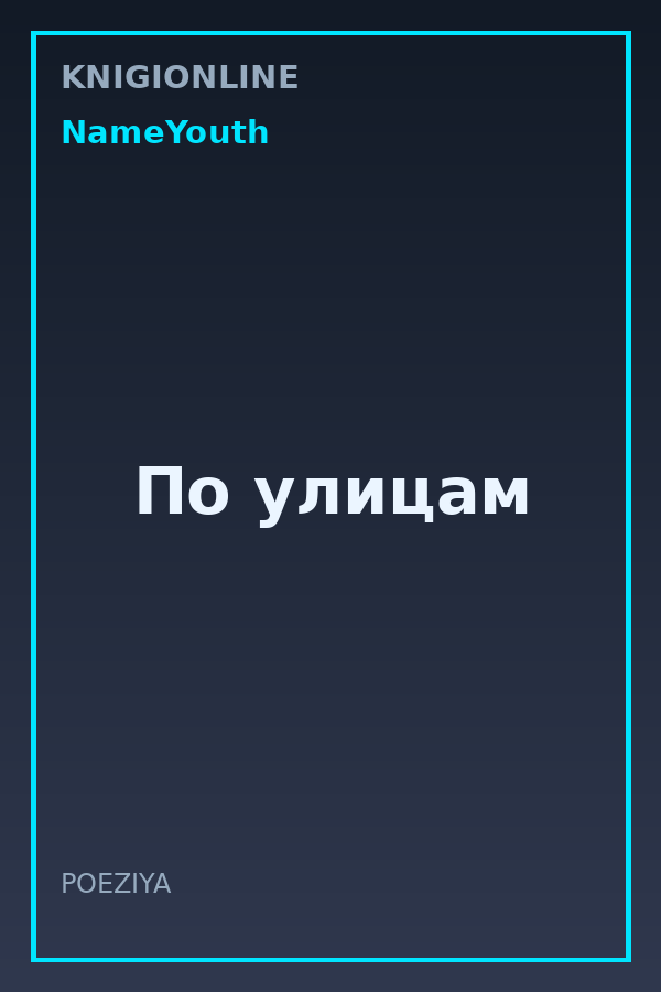 Обложка книги По улицам