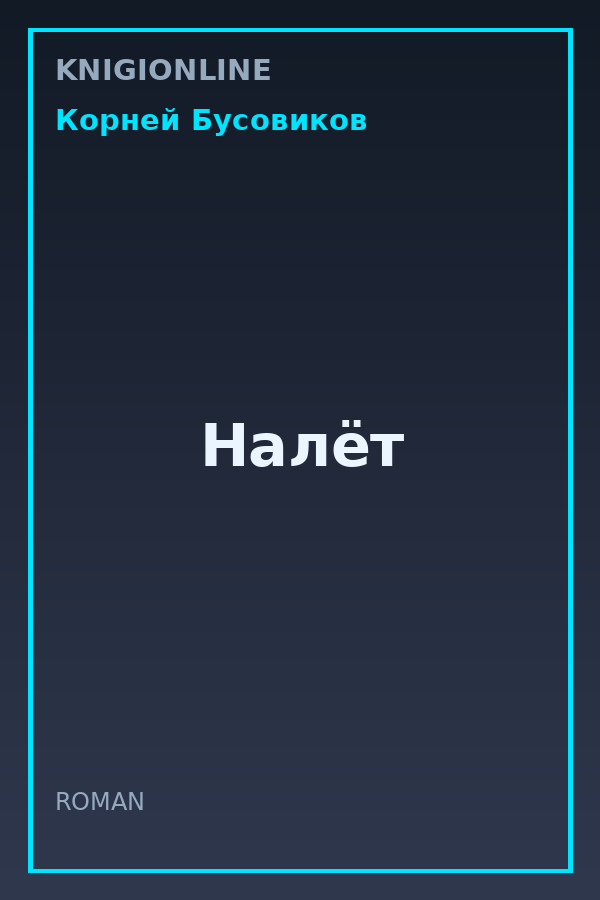 Обложка книги Налёт