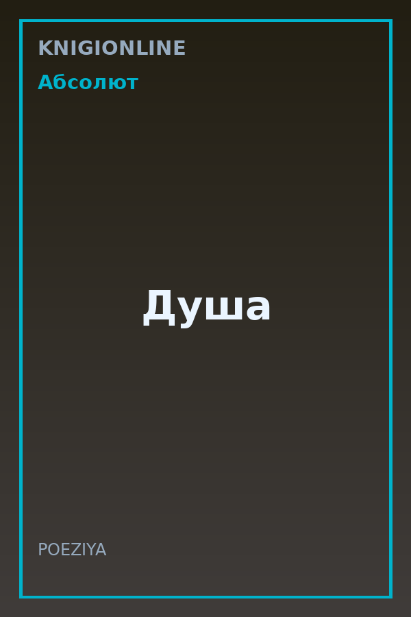 Обложка книги Душа