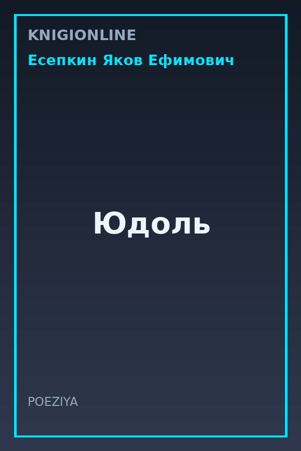 Обложка книги Юдоль