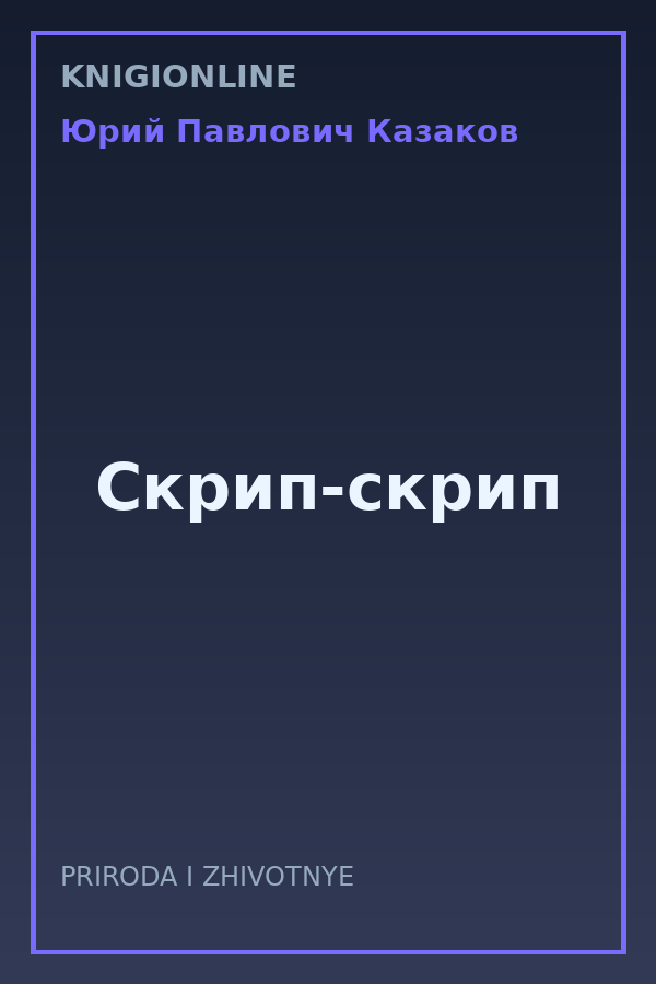 Обложка книги Скрип-скрип
