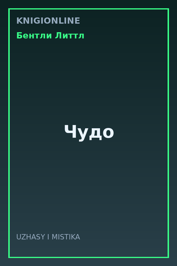 Обложка книги Чудо