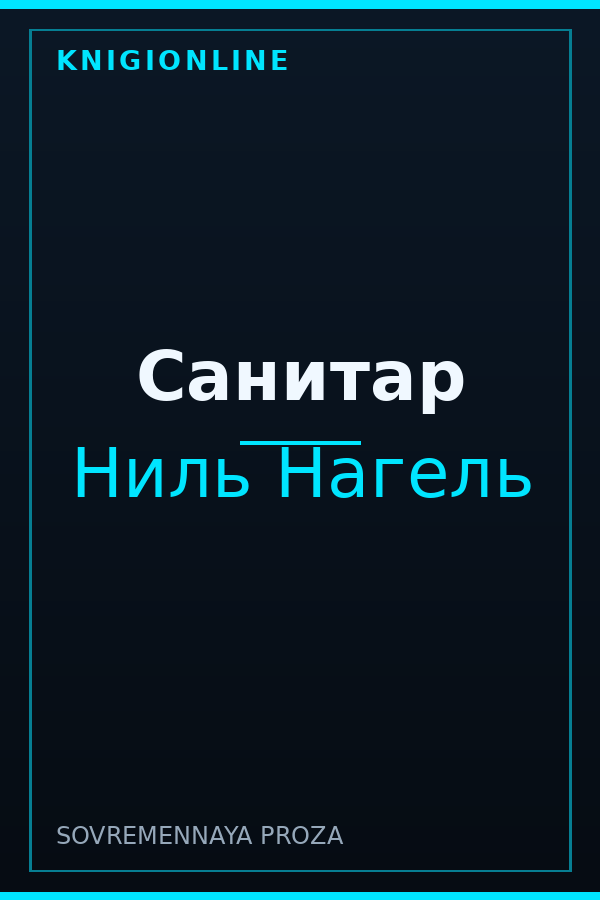 Обложка книги Санитар