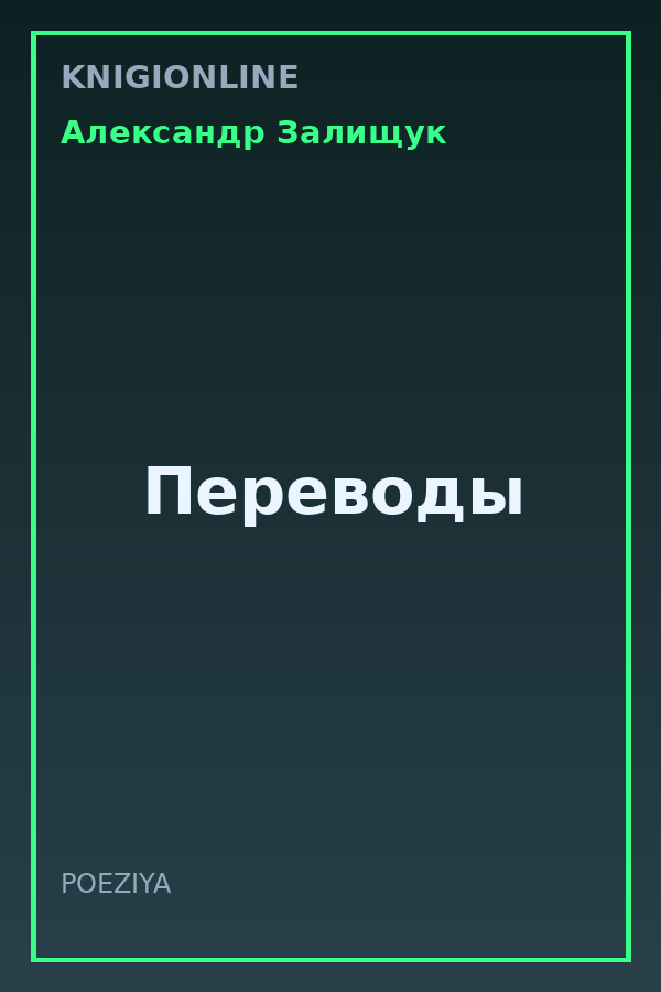 Обложка книги Переводы