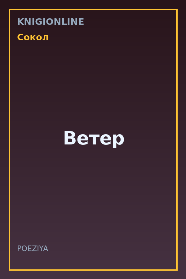 Обложка книги Ветер