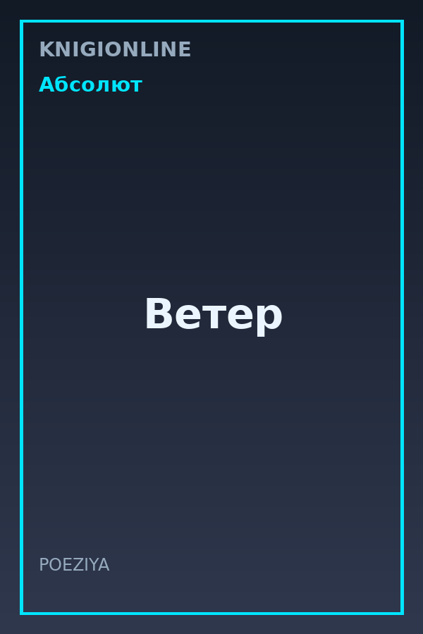 Обложка книги Ветер