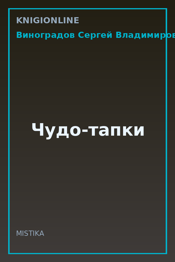 Обложка книги Чудо-тапки