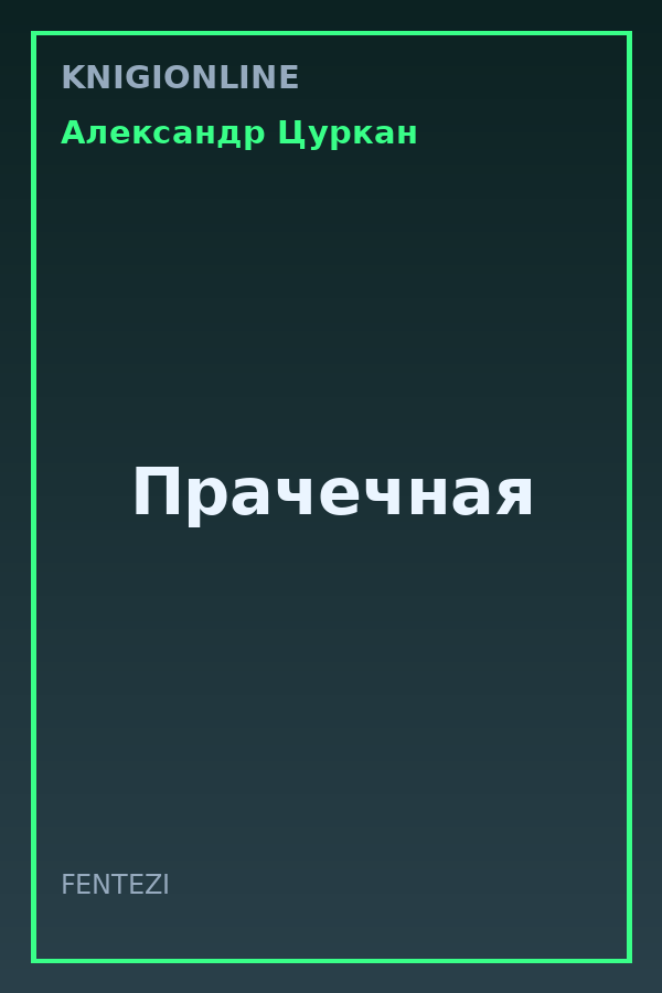 Обложка книги Прачечная