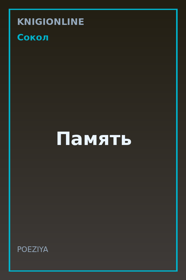 Обложка книги Память