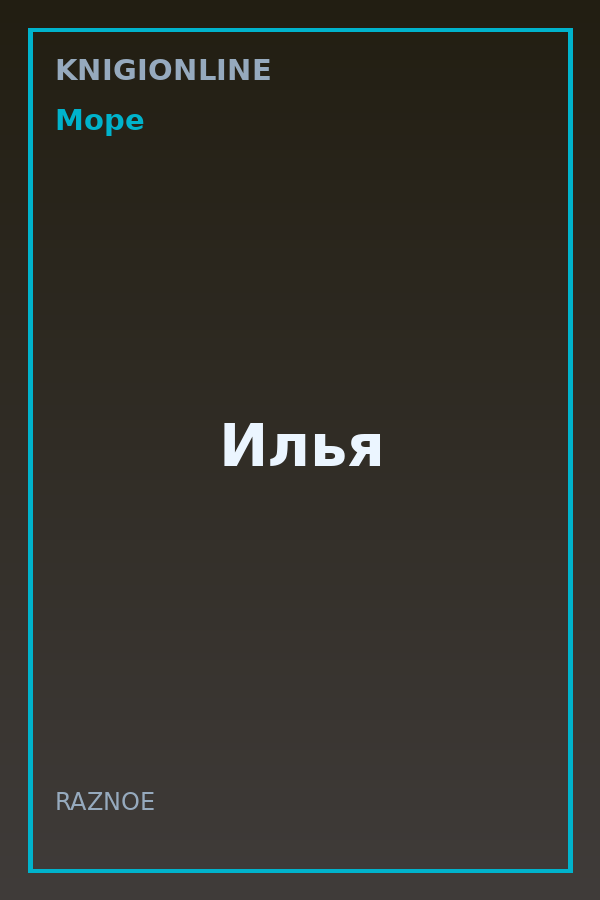 Обложка книги Илья