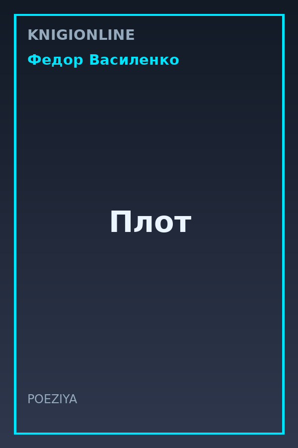Обложка книги Плот