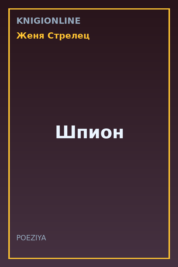 Обложка книги Шпион