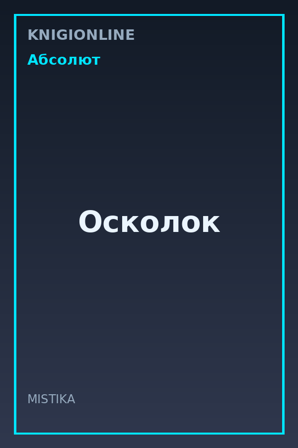 Обложка книги Осколок