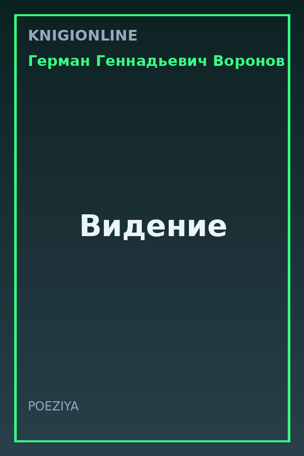 Обложка книги Видение