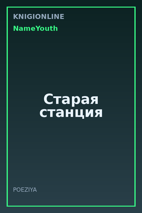 Обложка книги Старая станция