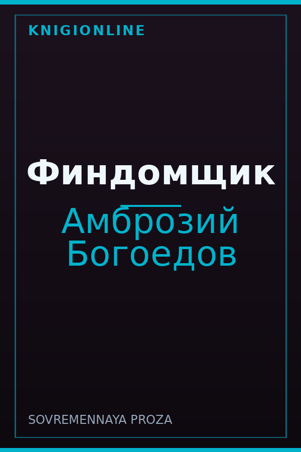 Обложка книги Финдомщик