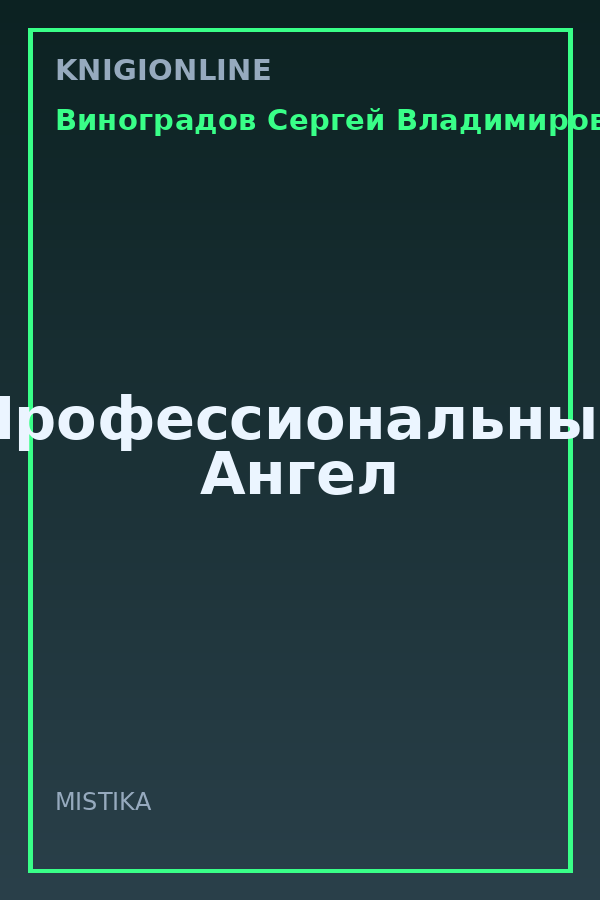 Обложка книги Профессиональный Ангел