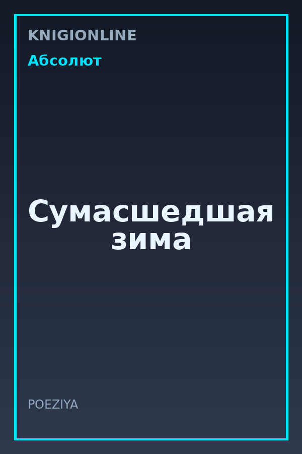Обложка книги Сумасшедшая зима