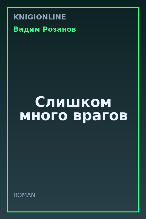 Обложка книги Слишком много врагов