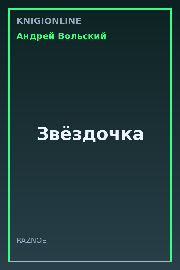 Обложка книги Звёздочка