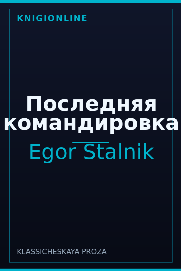 Обложка книги Последняя командировка