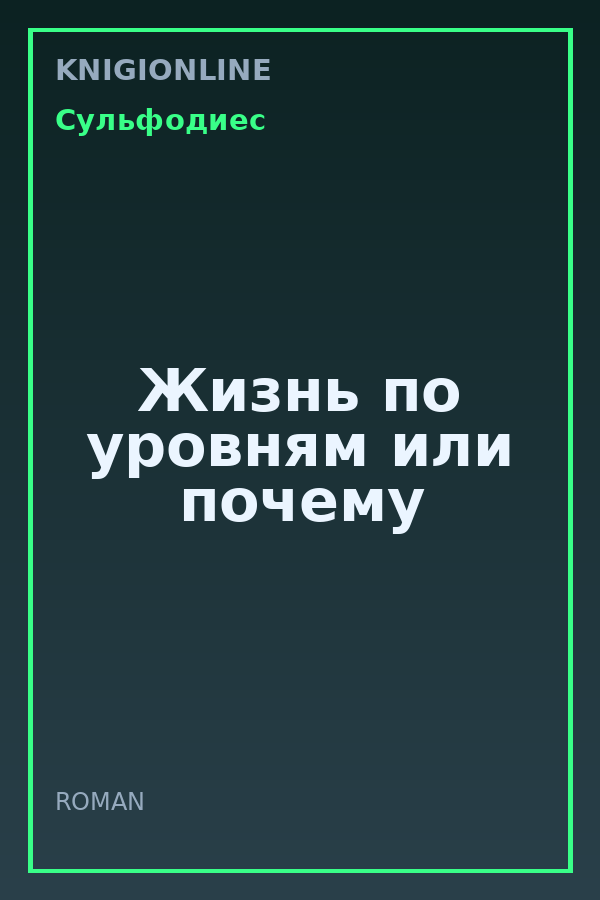 Обложка книги Жизнь по уровням или почему