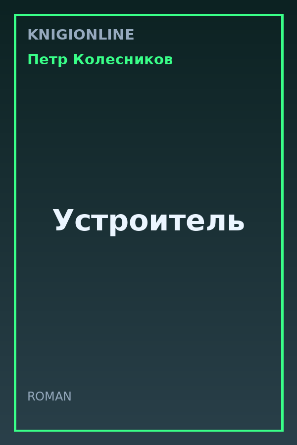 Обложка книги Устроитель