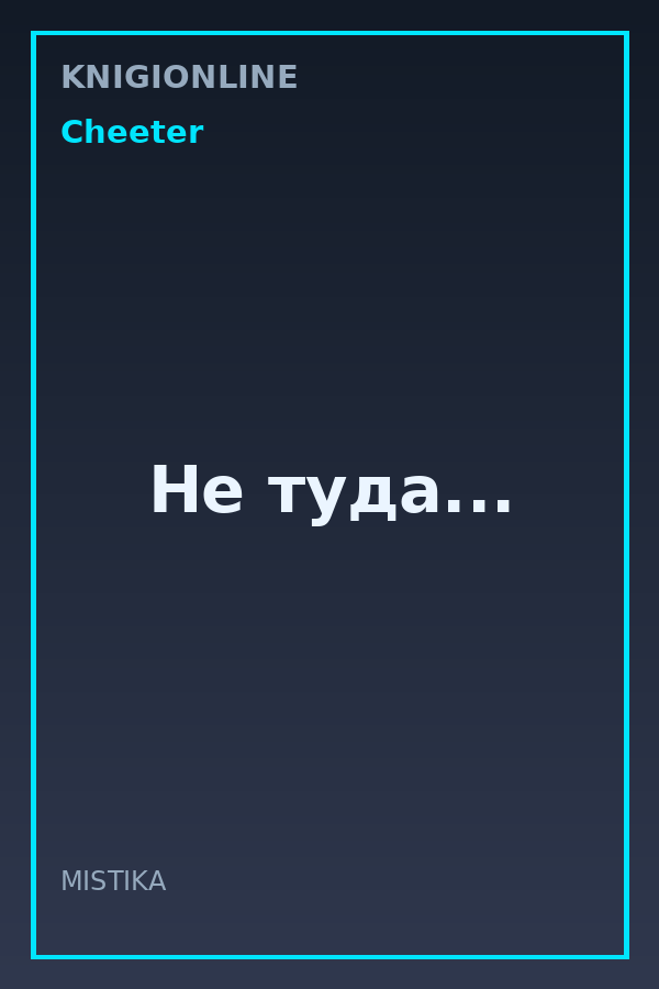 Обложка книги Не туда...