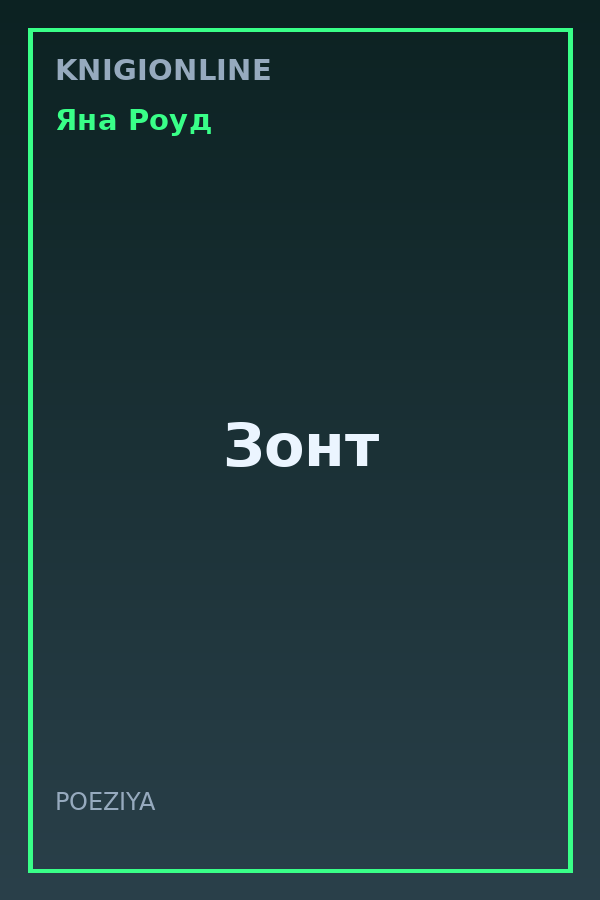 Обложка книги Зонт