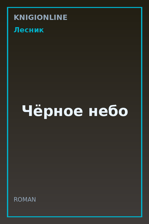 Обложка книги Чёрное небо