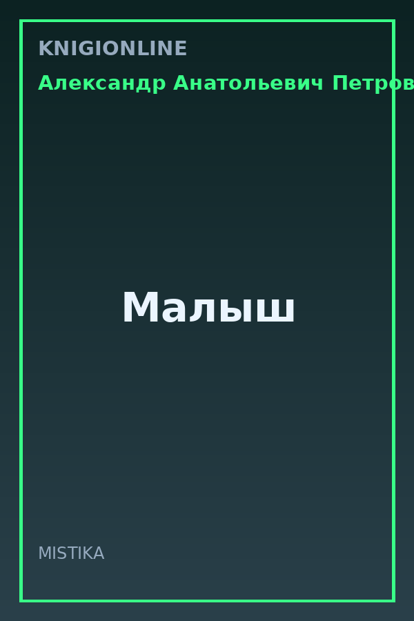 Обложка книги Малыш