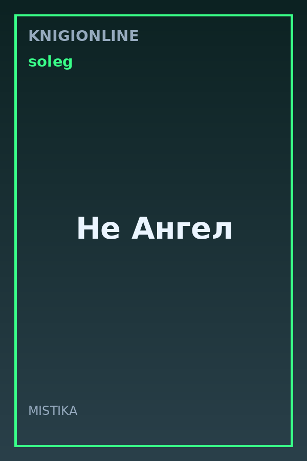Обложка книги Не Ангел