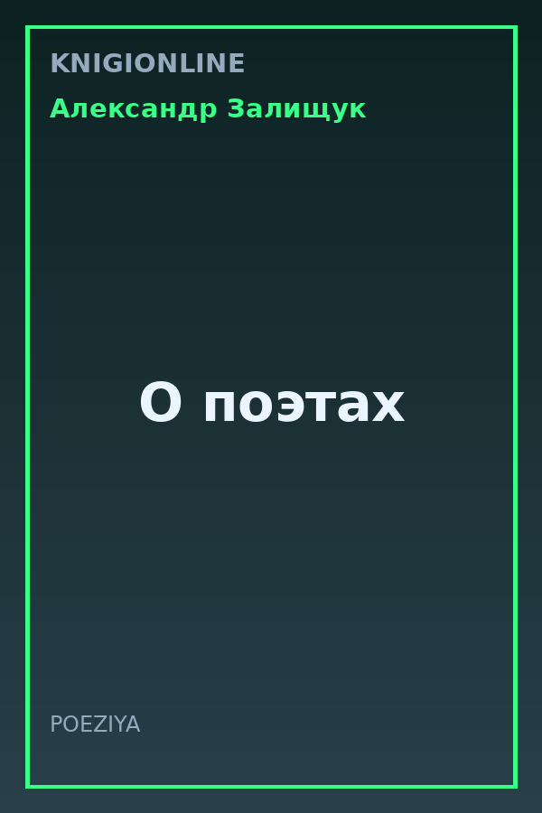 Обложка книги О поэтах