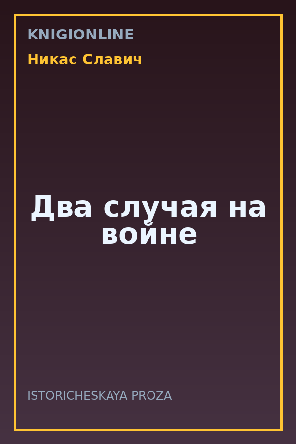 Обложка книги Два случая на войне