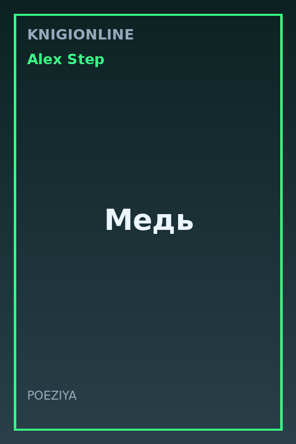 Обложка книги Медь